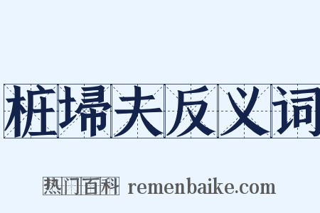 桩埽夫反义词是什么意思的图片